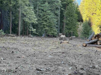 810 Timber Ridge Road, Lake Almanor, CA 96137 Photo