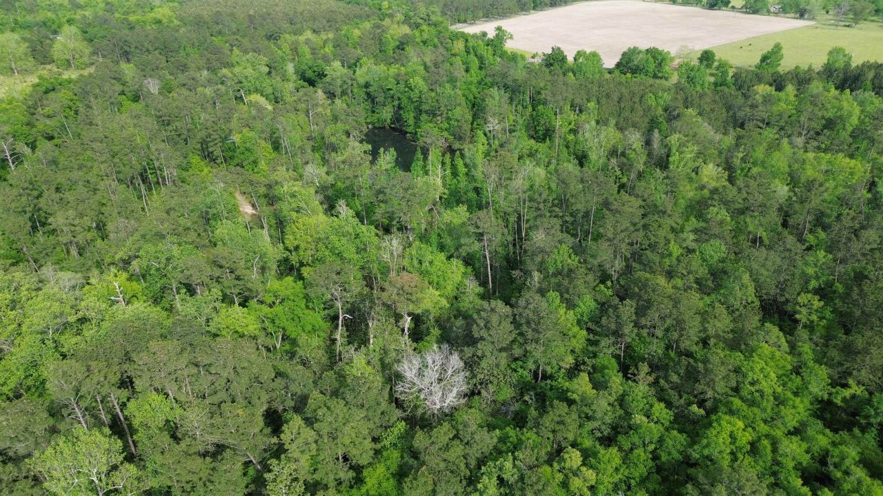 0 S Oak Road, Chattahoochee, FL 32324 Photo