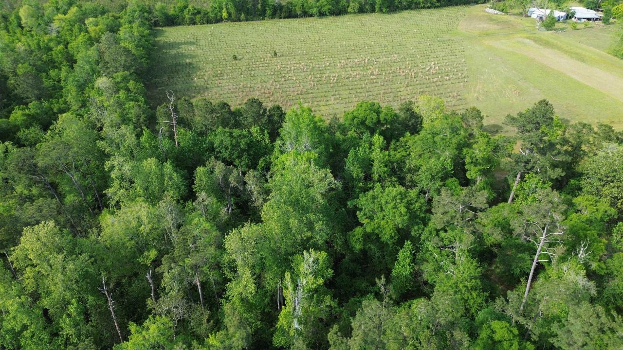 0 S Oak Road, Chattahoochee, FL 32324 Photo