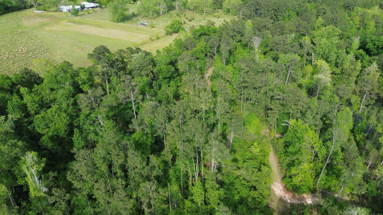 0 S Oak Road, Chattahoochee, FL 32324 Photo