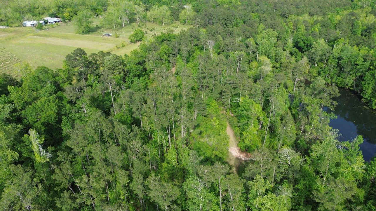 0 S Oak Road, Chattahoochee, FL 32324 Photo