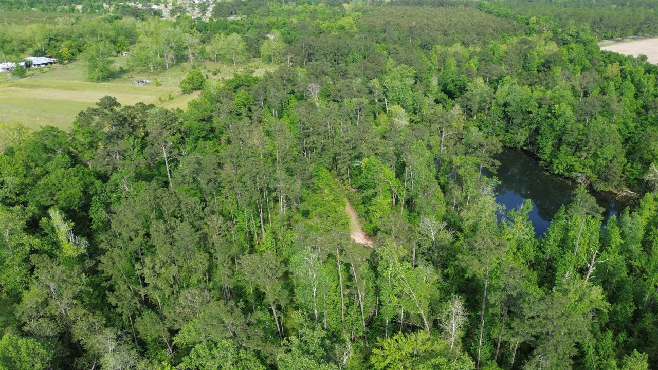 0 S Oak Road, Chattahoochee, FL 32324 Photo