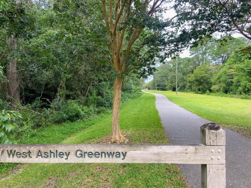 1000 Buttercup Way Photo 15