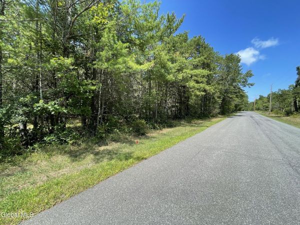 L18.12 Old Kings Road, Hannacroix, NY 12087