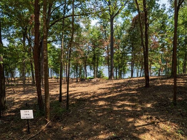 TBD PR-52447, Leesburg, TX 75451