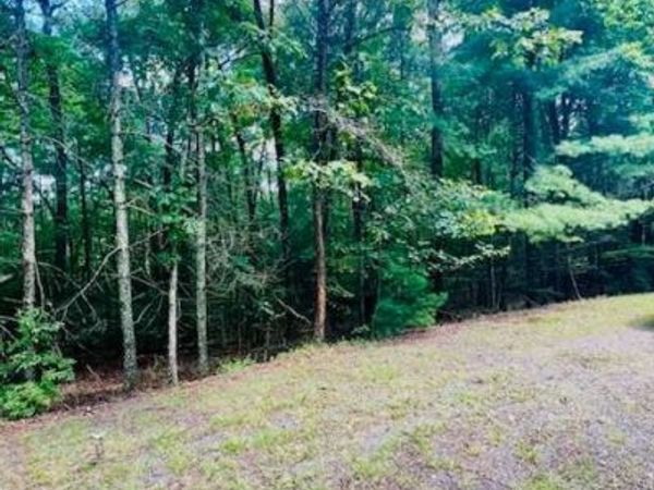 LOT 42 Squirrel Hunting Road, Ellijay, GA 30540