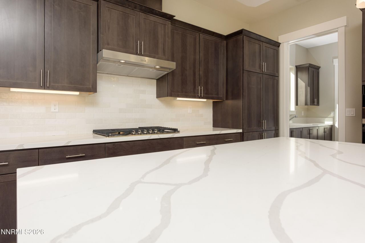 579 Sage Grouse Lp, Gardnerville, NV 89460 Photo