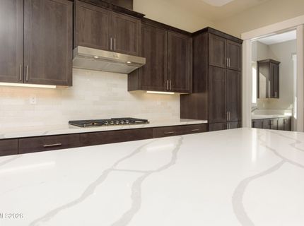 579 Sage Grouse Lp, Gardnerville, NV 89460 Photo