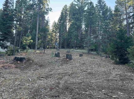 1213 Peninsula Drive, Lake Almanor, CA 96137 Photo