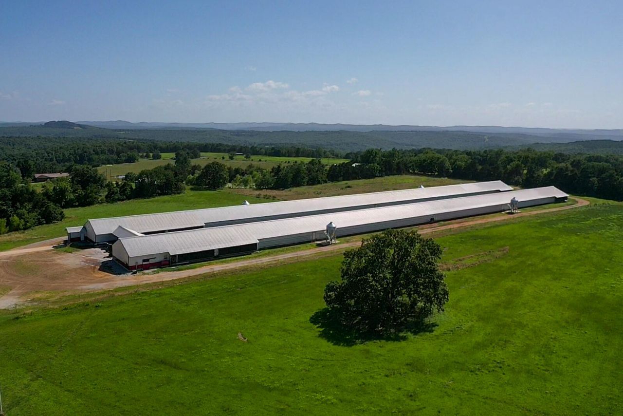 4468 Madison 3050, Other, AR 00000 Main Photo