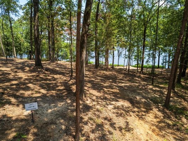 TBD Pr Rd52447, Leesburg, TX 75451