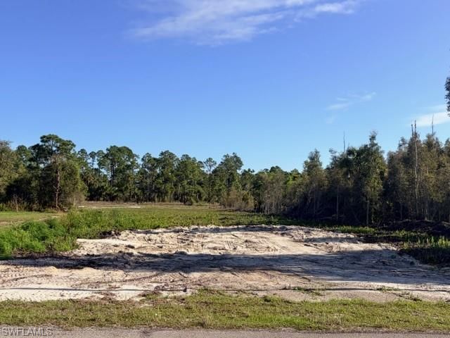 870 Arturo St E, Lehigh Acres, FL 33974 Photo