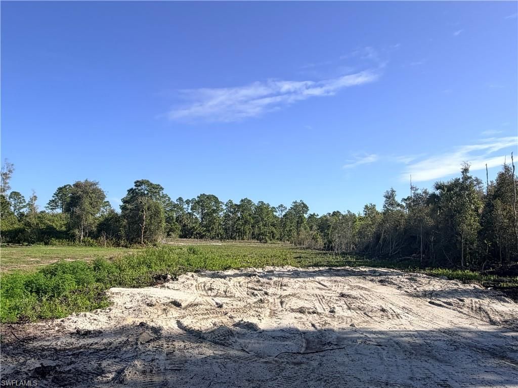 870 Arturo St E, Lehigh Acres, FL 33974 Photo