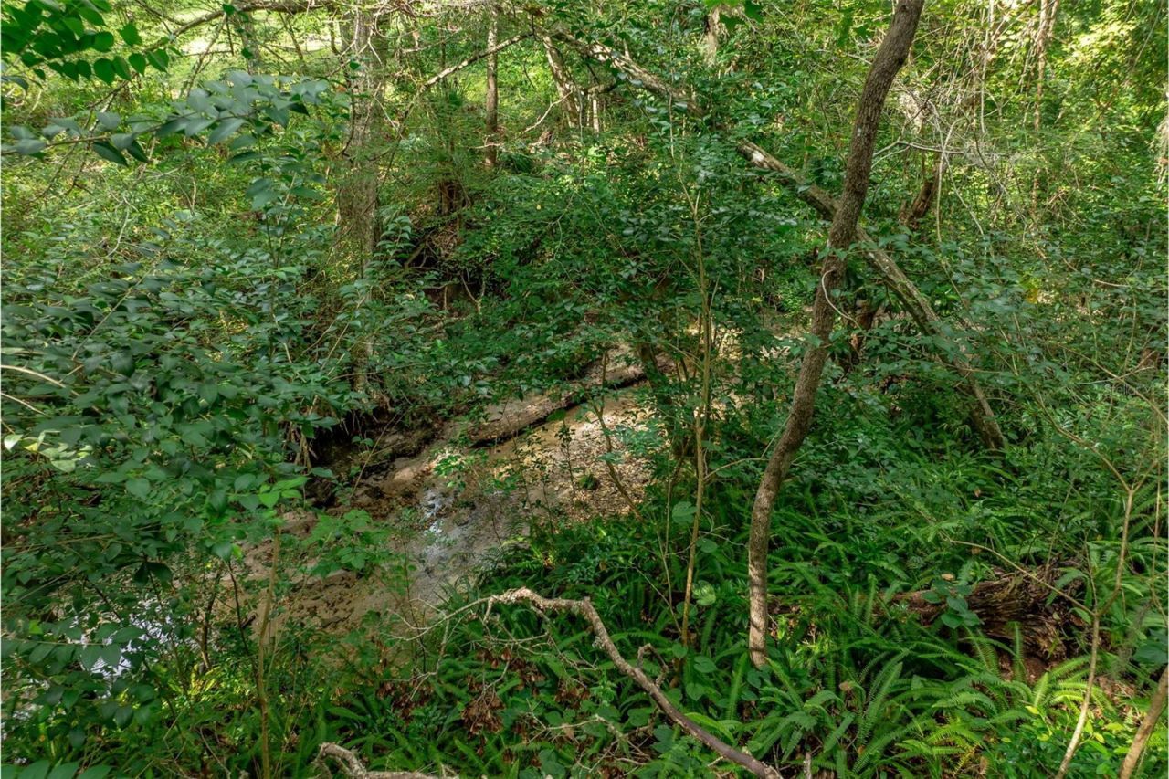 1636 NW 8th Avenue, Gainesville, FL 32603 Photo