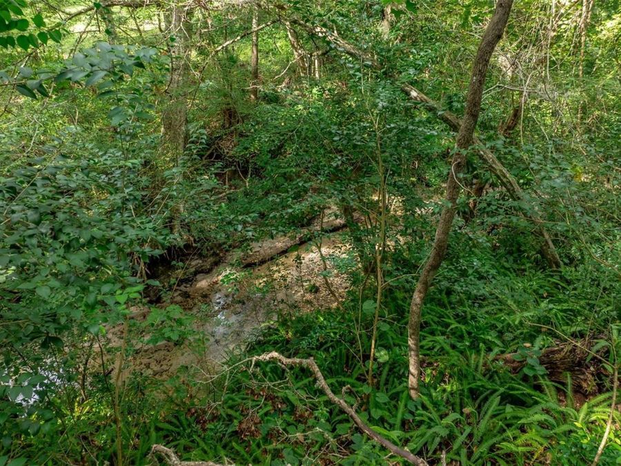 Property Image 64