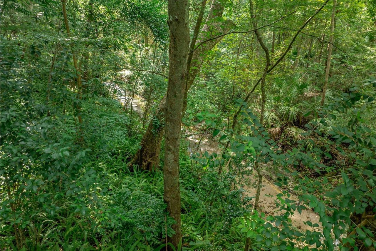 1636 NW 8th Avenue, Gainesville, FL 32603 Photo