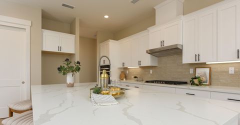 585 Sage Grouse Lp, Gardnerville, NV 89460 Photo