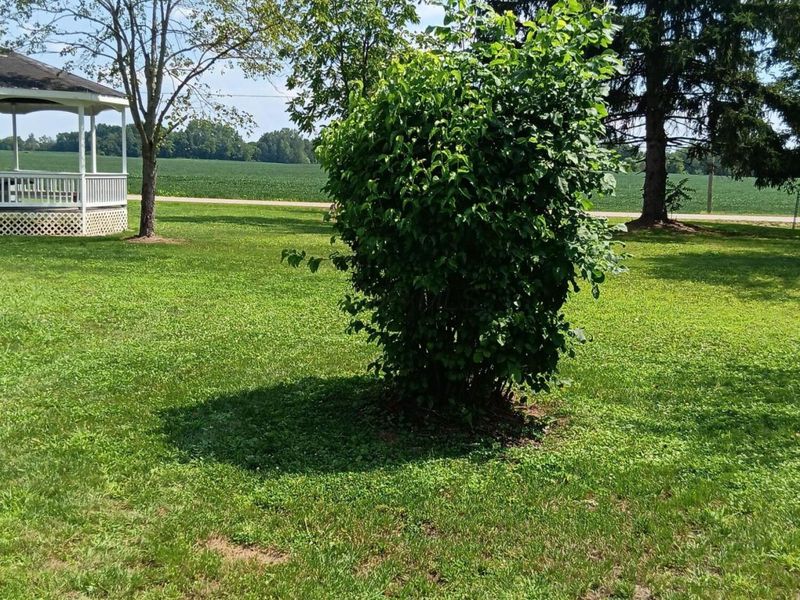 2500 Main Street, Thurston, OH 43157 Photo 9