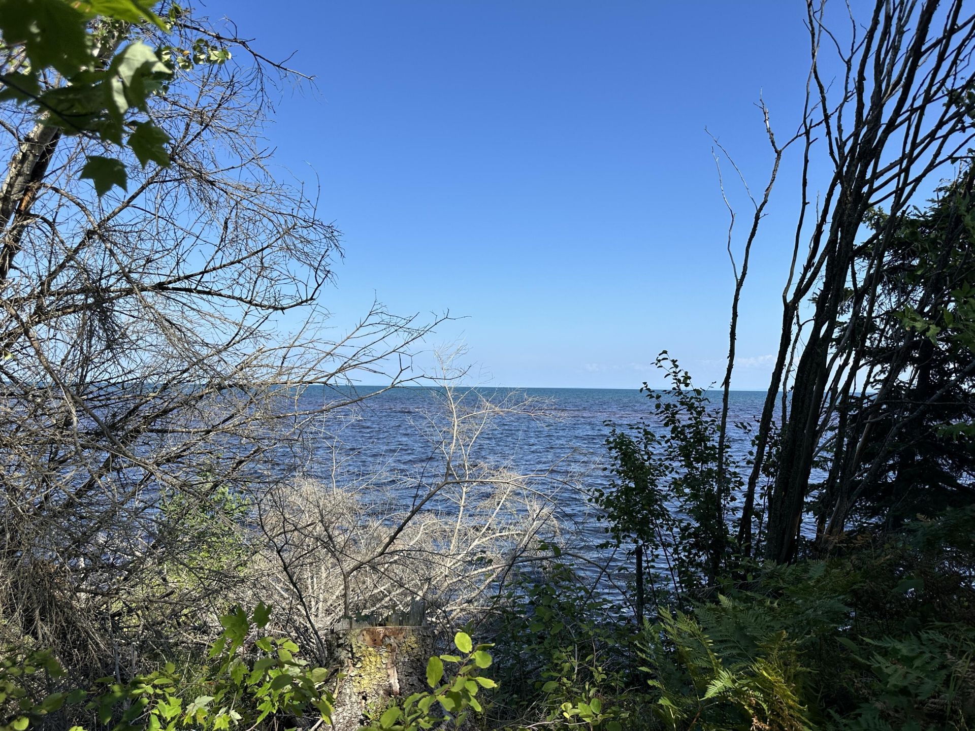10170 N Whitefish Point Rd, Paradise, MI 49768 Main Photo