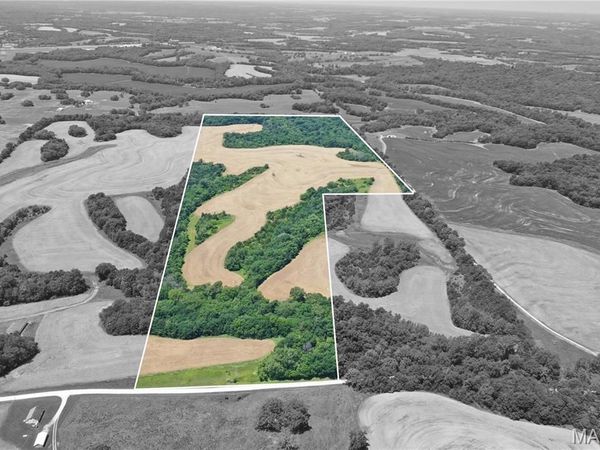 10790 Pike 107, Frankford, MO 63341