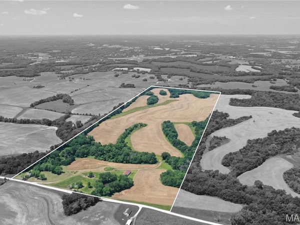 0 Pike 107, Frankford, MO 63441