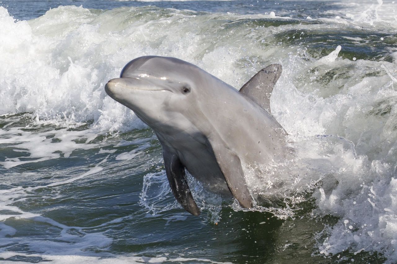 2623 Beach Villas, Unit 2623, Captiva, FL 33924 Photo