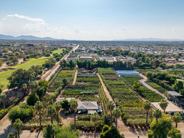 6520 S 28TH Street, Phoenix, AZ 85042