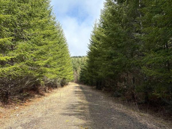0 Boiler Creek Rd, Springfield, OR 97478