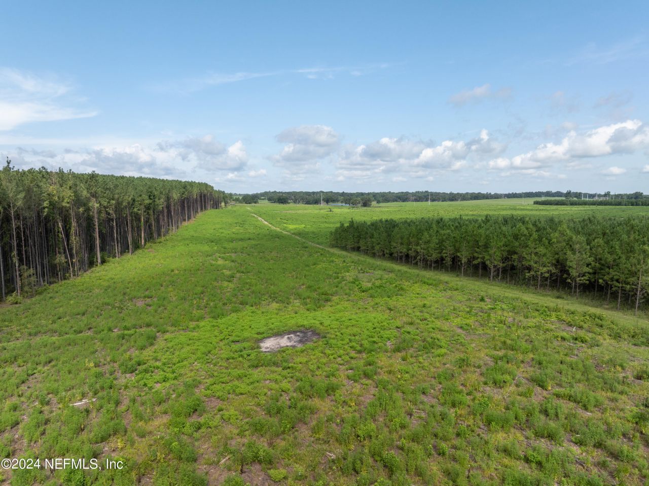 3500 NE Rocky Ford Road, Madison, FL 32340 Photo