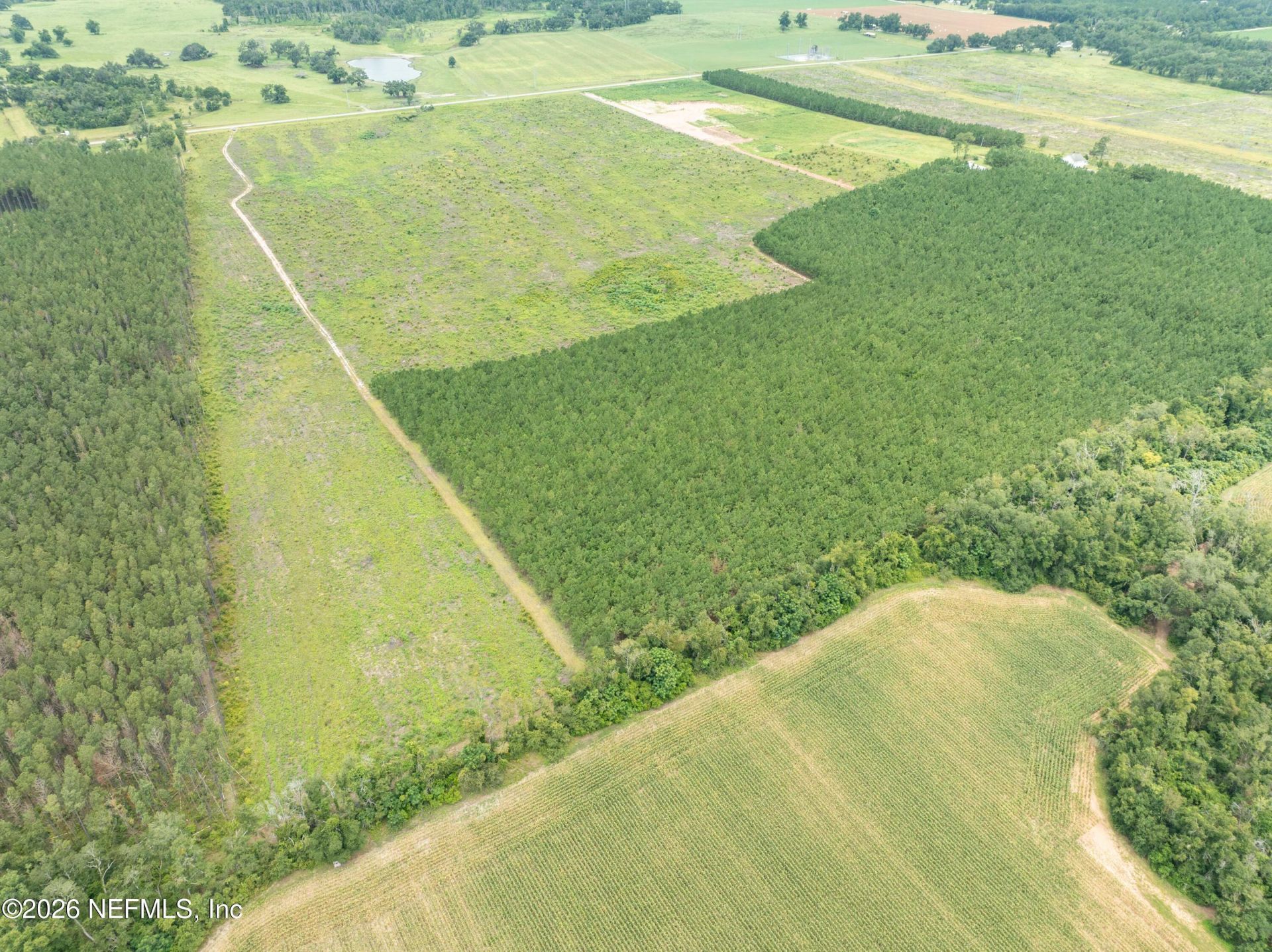3500 NE Rocky Ford Road, Madison, FL 32340 Photo