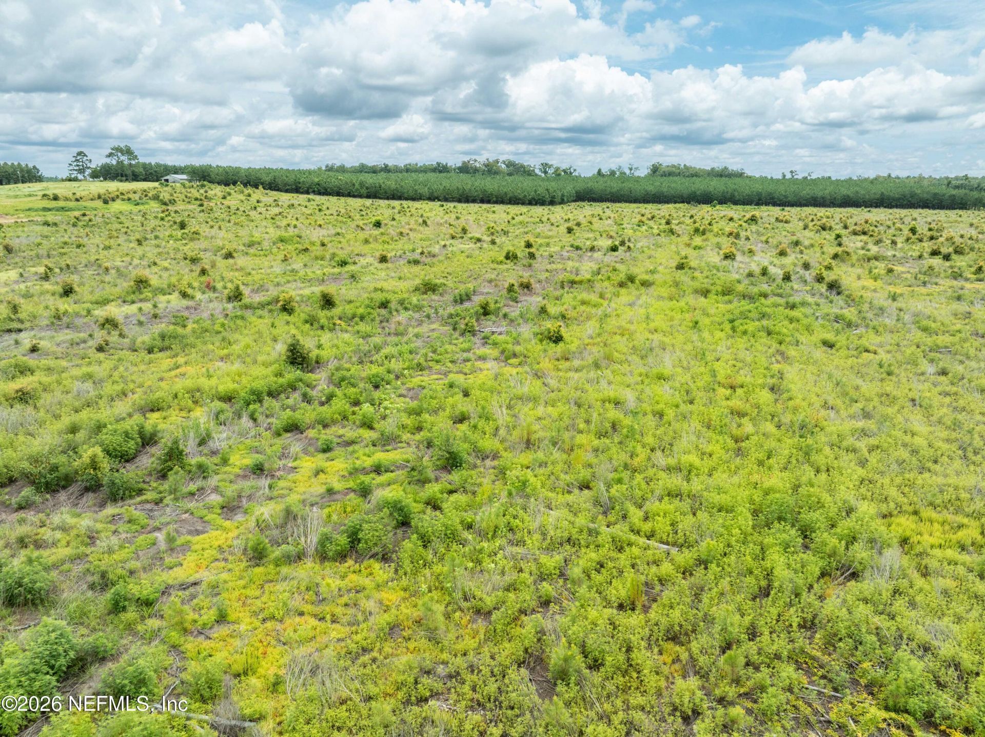 3500 NE Rocky Ford Road, Madison, FL 32340 Photo