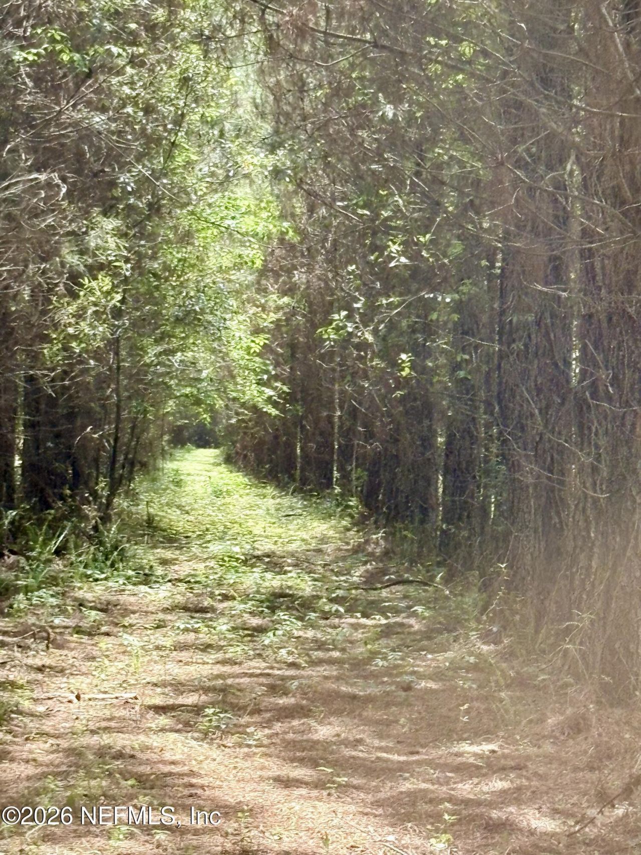3500 NE Rocky Ford Road, Madison, FL 32340 Photo