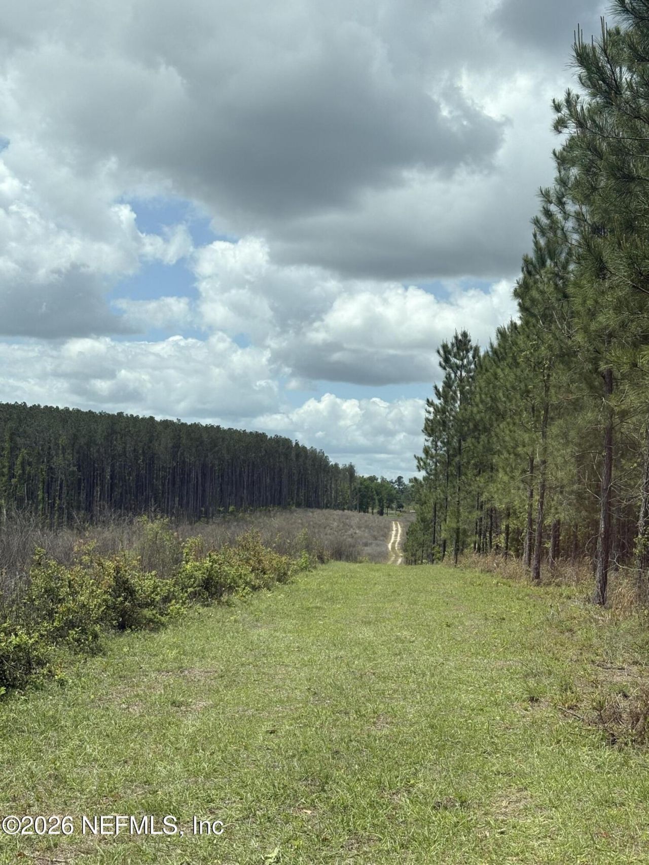 3500 NE Rocky Ford Road, Madison, FL 32340 Photo