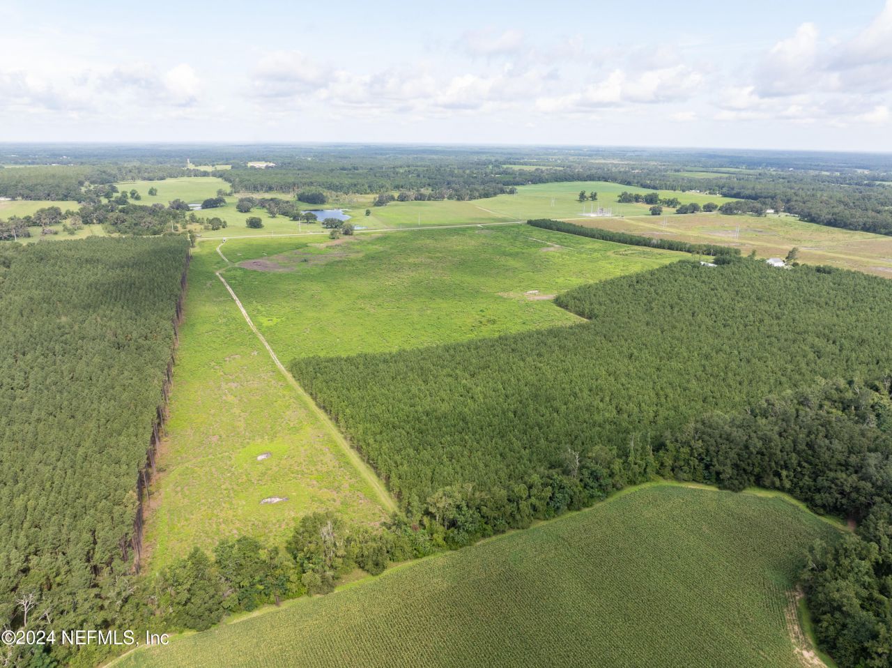 3500 NE Rocky Ford Road, Madison, FL 32340 Photo