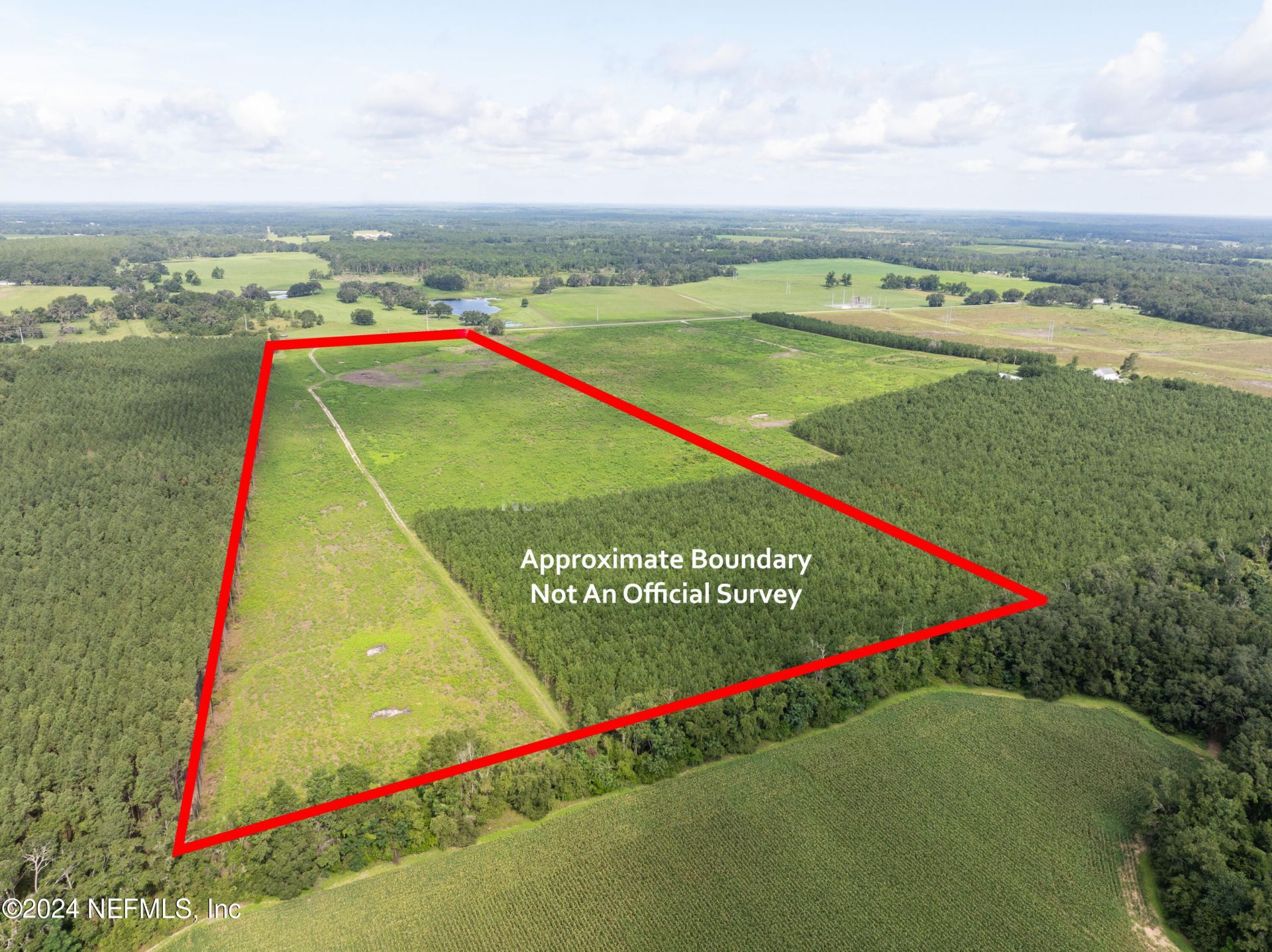 3500 NE Rocky Ford Road, Madison, FL 32340 Photo