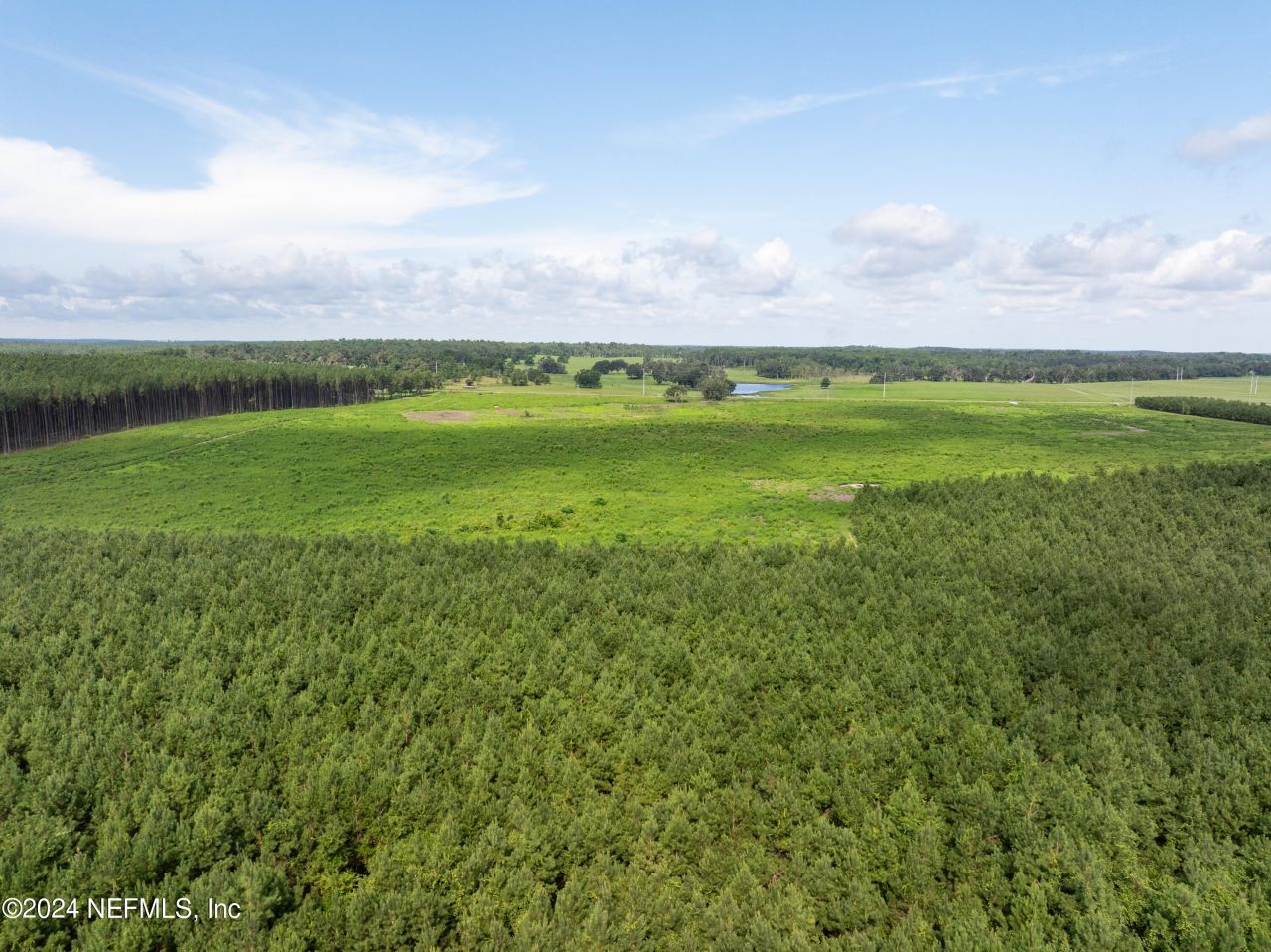 3500 NE Rocky Ford Road, Madison, FL 32340 Photo