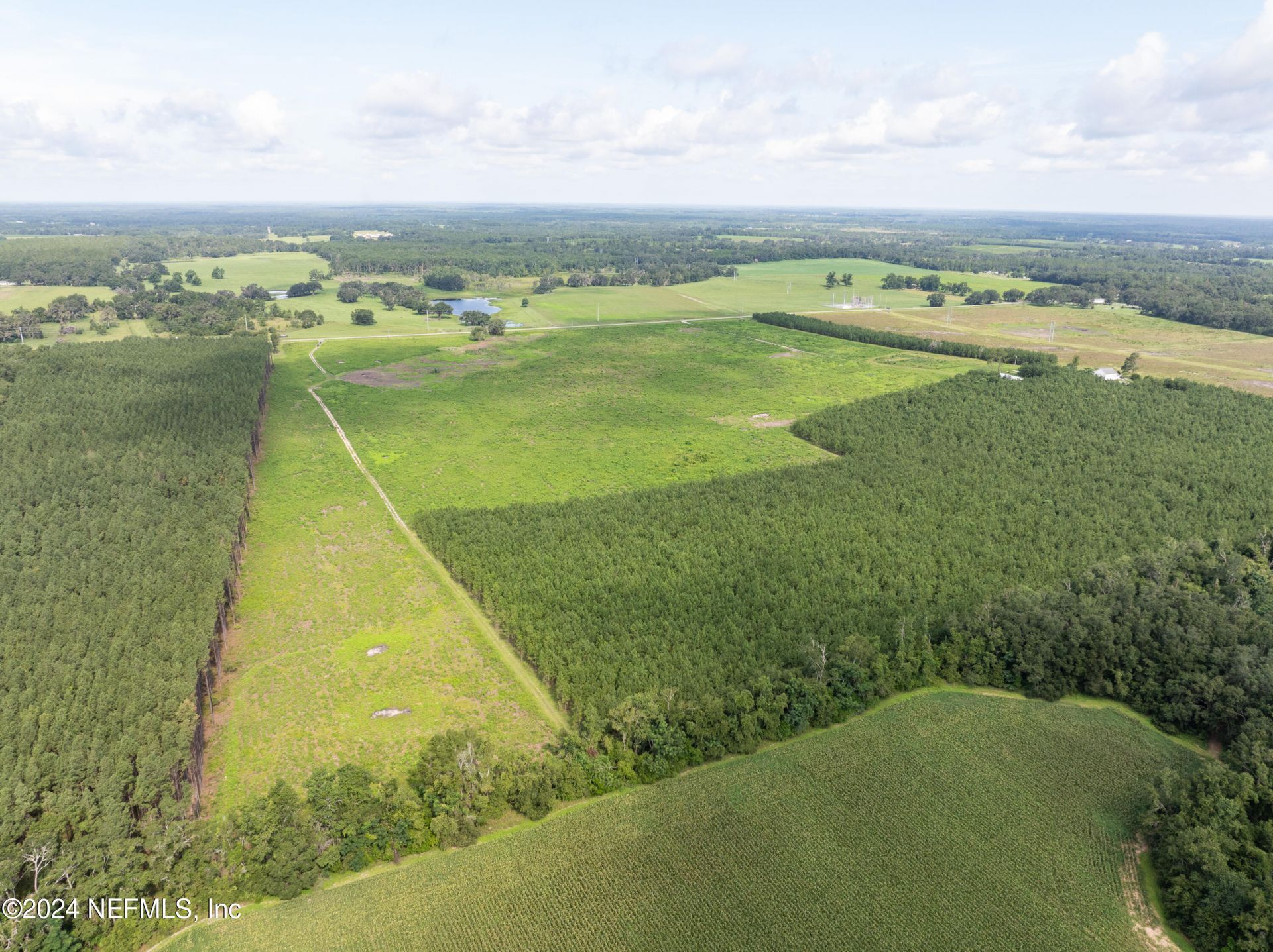 3500 NE Rocky Ford Road, Madison, FL 32340 Photo