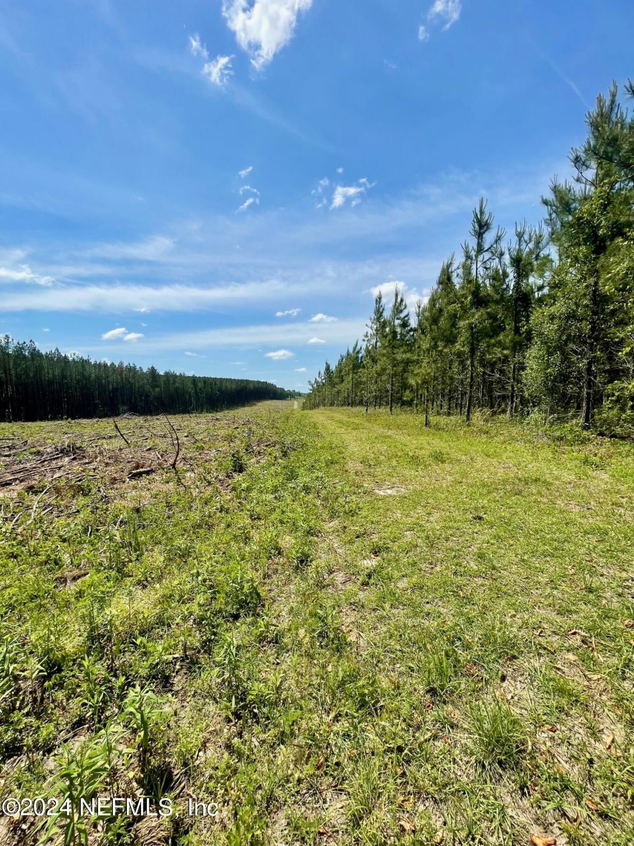 3500 NE Rocky Ford Road, Madison, FL 32340 Photo