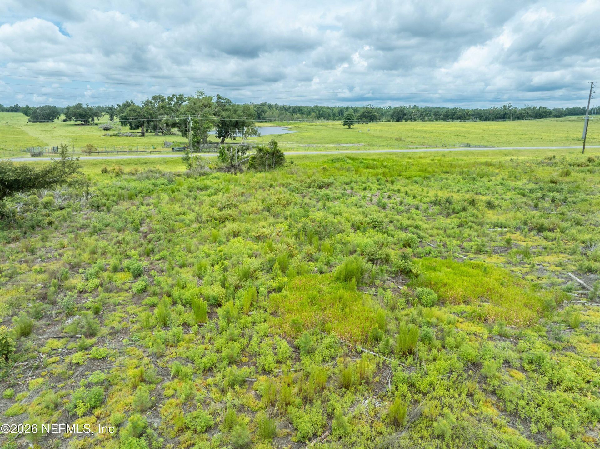 3500 NE Rocky Ford Road, Madison, FL 32340 Photo