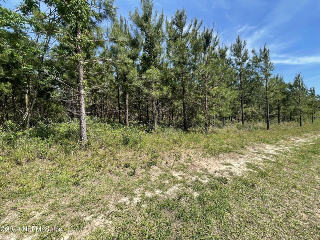 3600 NE Rocky Ford Road, Madison, FL 32340 Photo