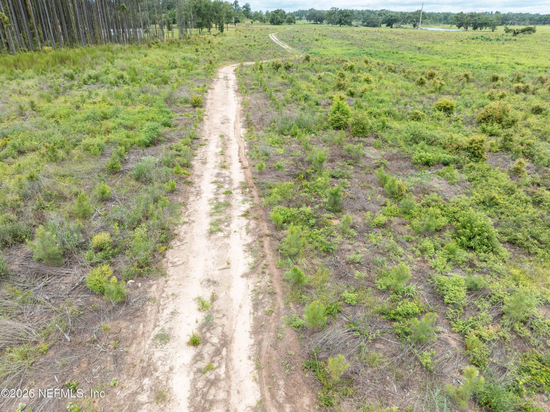 3600 NE Rocky Ford Road, Madison, FL 32340 Photo