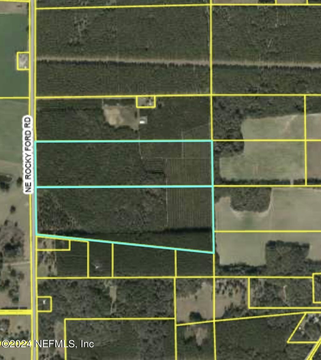 3600 NE Rocky Ford Road, Madison, FL 32340 Photo