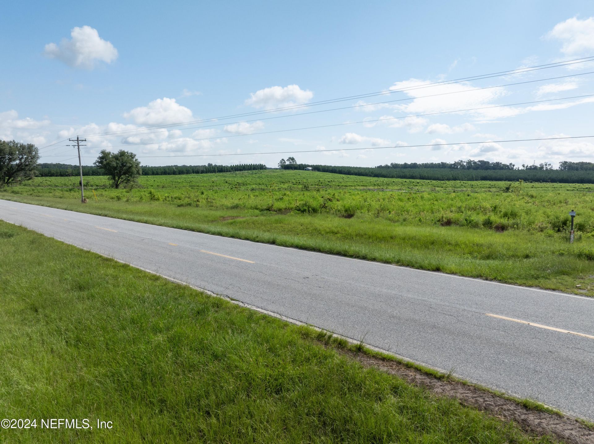 3600 NE Rocky Ford Road, Madison, FL 32340 Photo
