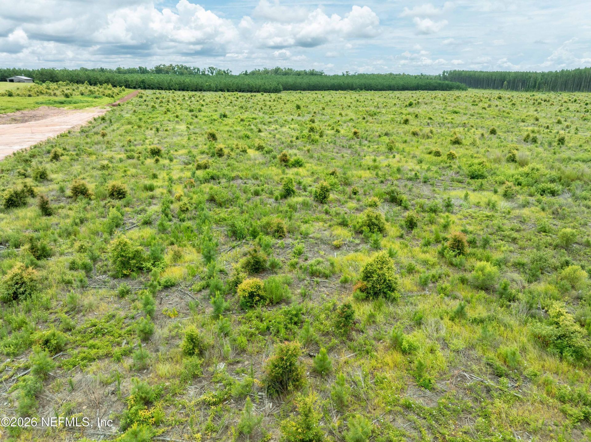 3600 NE Rocky Ford Road, Madison, FL 32340 Photo