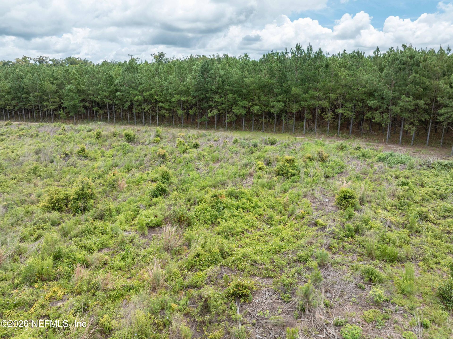 3600 NE Rocky Ford Road, Madison, FL 32340 Photo