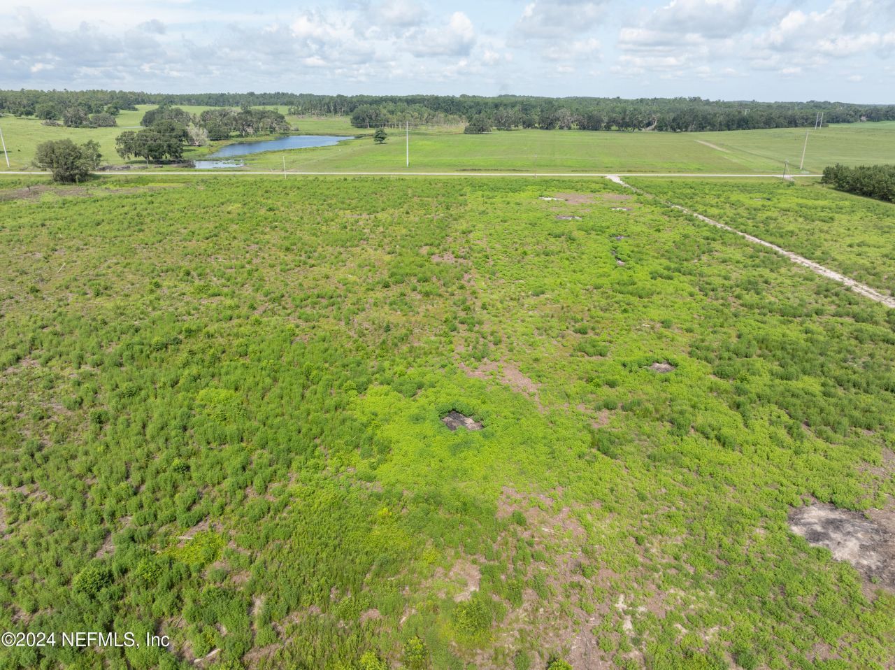 3600 NE Rocky Ford Road, Madison, FL 32340 Photo