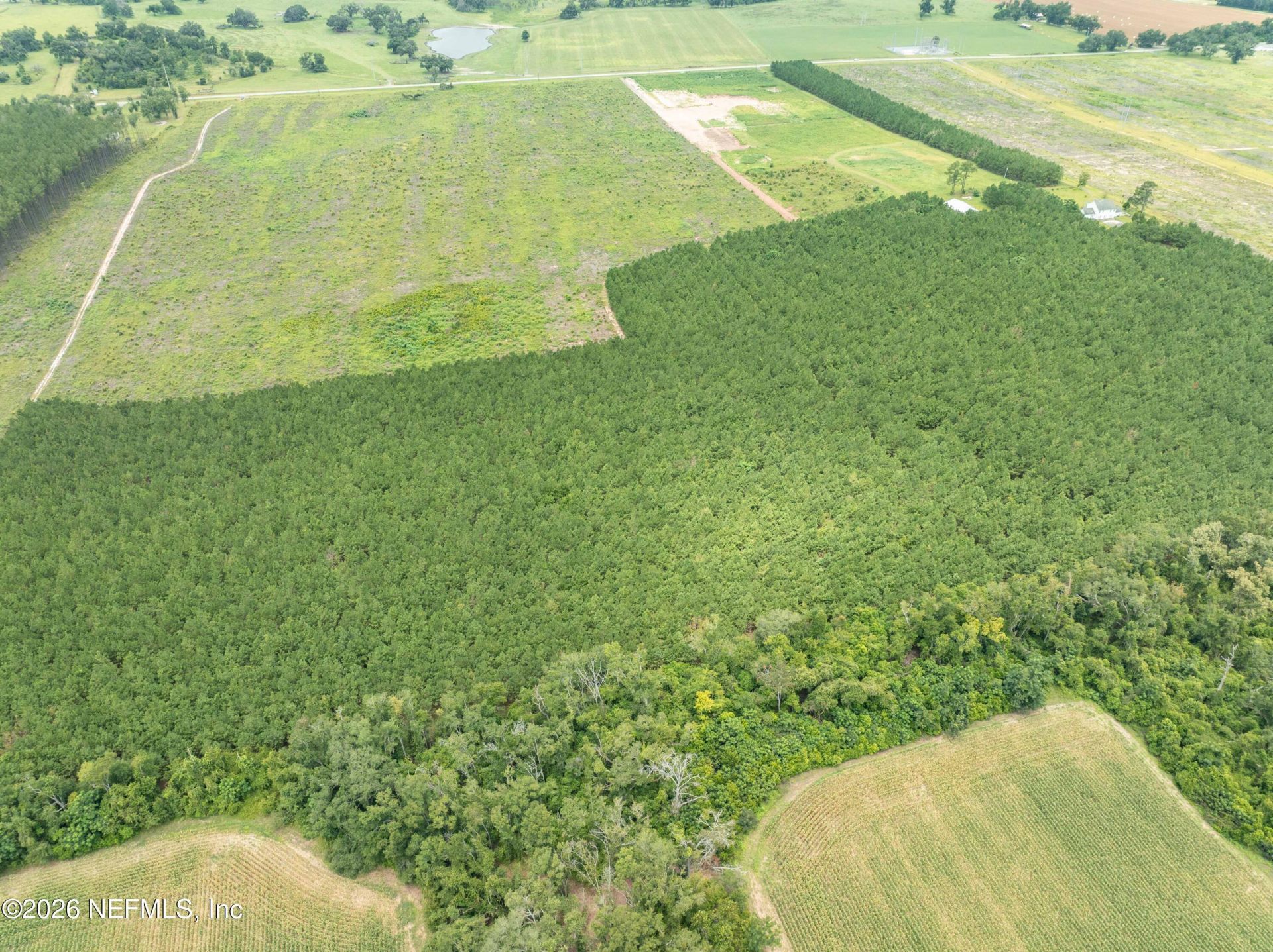 3600 NE Rocky Ford Road, Madison, FL 32340 Photo