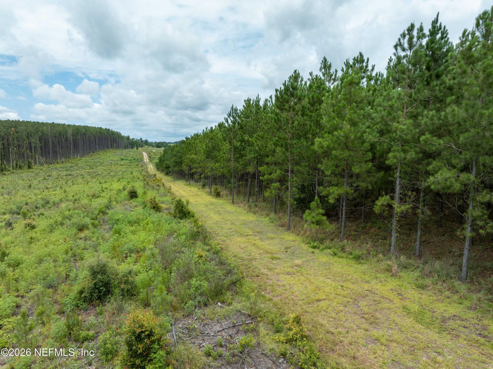 3600 NE Rocky Ford Road, Madison, FL 32340 Photo