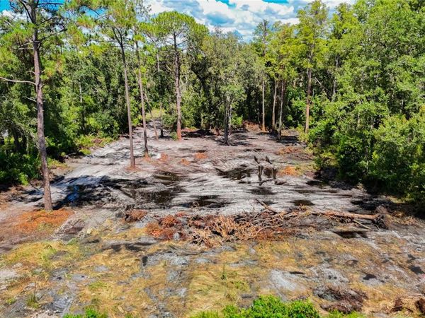 ANNO STREET, TAMPA, FL 33625