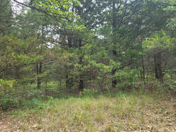 000 Graff Rd, Graff, MO 65660